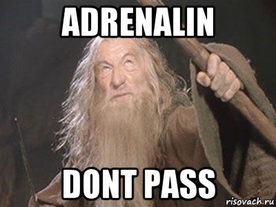 adrenalin dont pass, Мем Гендальф - Ты не пройдешь