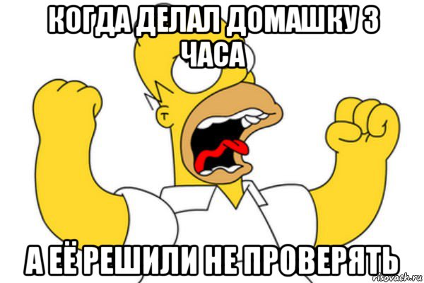 когда делал домашку 3 часа а её решили не проверять, Мем Разъяренный Гомер