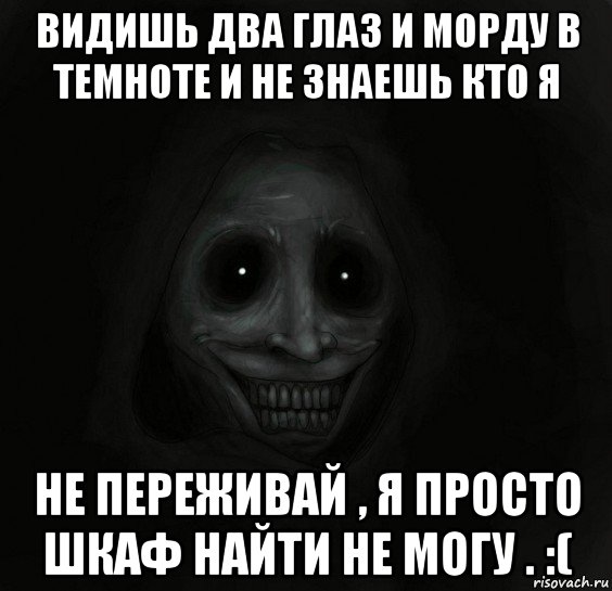 видишь два глаз и морду в темноте и не знаешь кто я не переживай , я просто шкаф найти не могу . :(