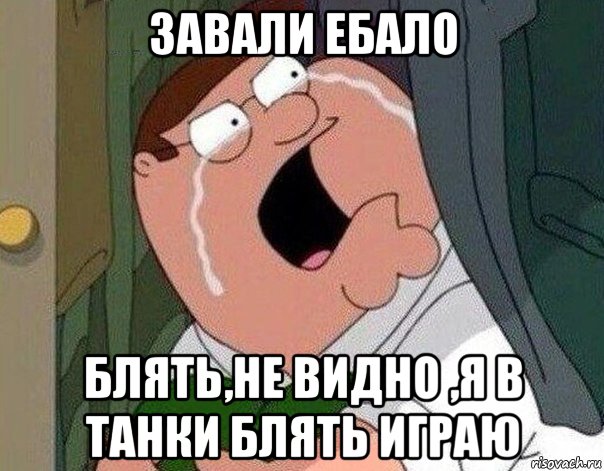 завали ебало блять,не видно ,я в танки блять играю, Мем Гриффин плачет