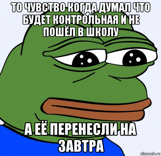 то чувство когда думал что будет контрольная и не пошёл в школу а её перенесли на завтра, Мем Грустная лягушка