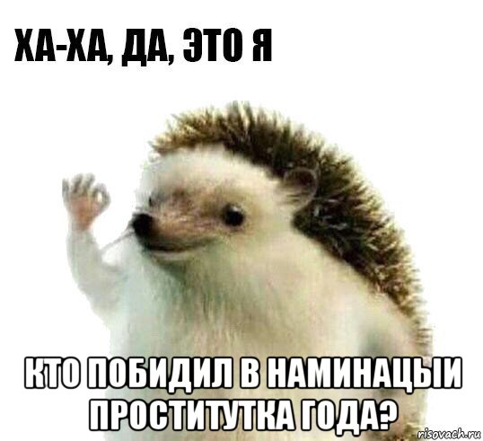  кто побидил в наминацыи проститутка года?, Мем Ха-ха да это я