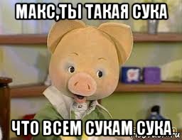 макс,ты такая сука что всем сукам сука