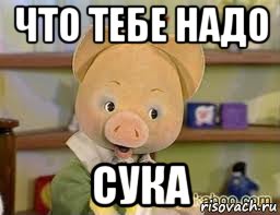 что тебе надо сука