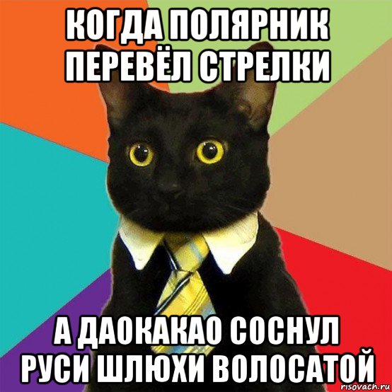 когда полярник перевёл стрелки а даокакао соснул руси шлюхи волосатой, Мем  Кошечка