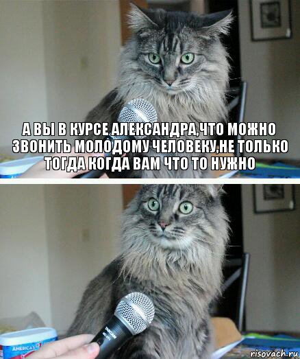 а вы в курсе Александра,что можно звонить молодому человеку,не только тогда когда вам что то нужно , Комикс  кот с микрофоном