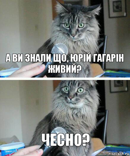 А ви знали що, Юрій Гагарін живий? Чесно?, Комикс  кот с микрофоном