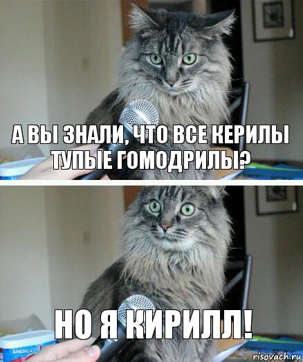 А вы знали, что все керилы тупые гомодрилы? Но я Кирилл!, Комикс  кот с микрофоном