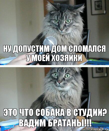 Ну допустим дом сломался у моей хозяйки Это что собака в студии? Вадим братаны!!!, Комикс  кот с микрофоном