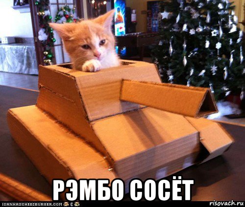  рэмбо сосёт, Мем Котэ танкист