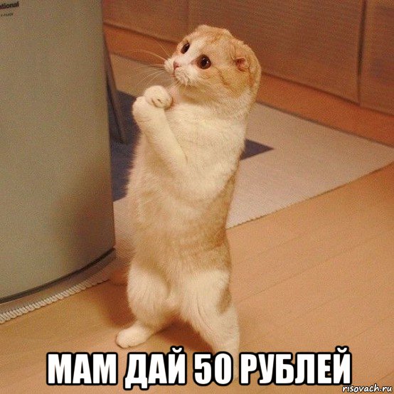  мам дай 50 рублей, Мем  котэ молится