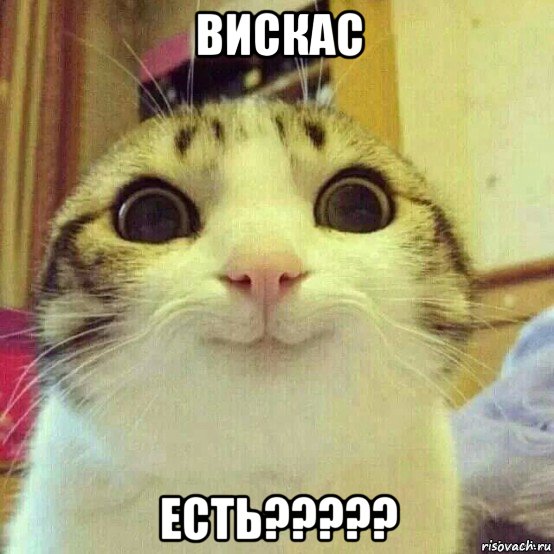 вискас есть?????, Мем       Котяка-улыбака