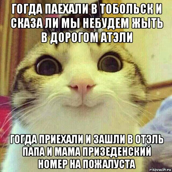 гогда паехали в тобольск и сказа ли мы небудем жыть в дорогом атэли гогда приехали и зашли в отэль папа и мама призеденский номер на пожалуста, Мем       Котяка-улыбака