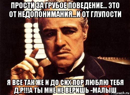 прости за грубое поведение... это от недопонимания...и от глупости я все так же и до сих пор люблю тебя д.р!!!а ты мне не веришь -малыш, Мем крестный отец