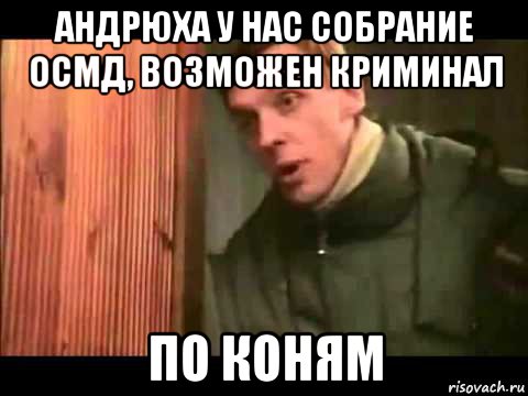 андрюха у нас собрание осмд, возможен криминал по коням, Мем Ларин по коням