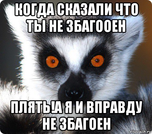 когда сказали что ты не збагооен плять!а я и вправду не збагоен, Мем лемур