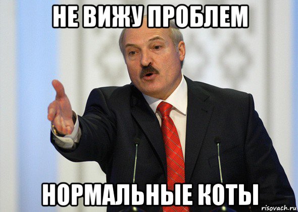 не вижу проблем нормальные коты, Мем лукашенко