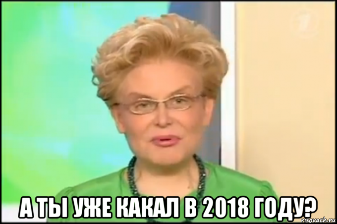  а ты уже какал в 2018 году?, Мем Малышева