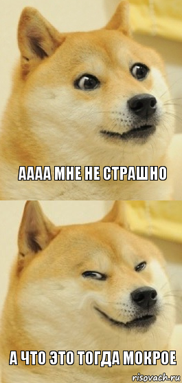 аааа мне не страшно а что это тогда мокрое, Комикс   DOGE довольный