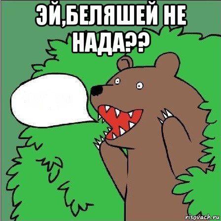 эй,беляшей не нада?? , Мем Медведь-шлюха