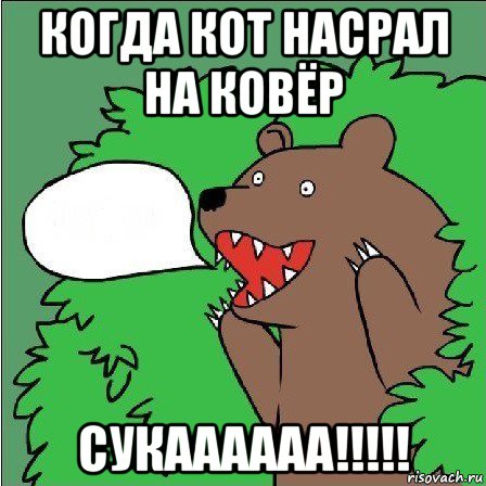 когда кот насрал на ковёр сукаааааа!!!!!