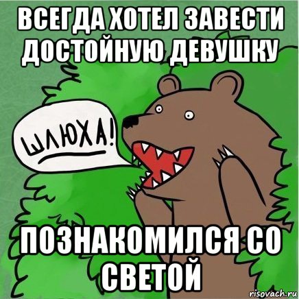 всегда хотел завести достойную девушку познакомился со светой, Мем Медведь в кустах