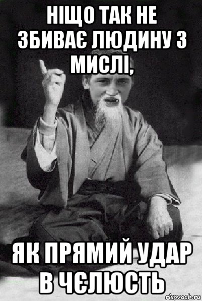 ніщо так не збиває людину з мислі, як прямий удар в чєлюсть, Мем Мудрий паца