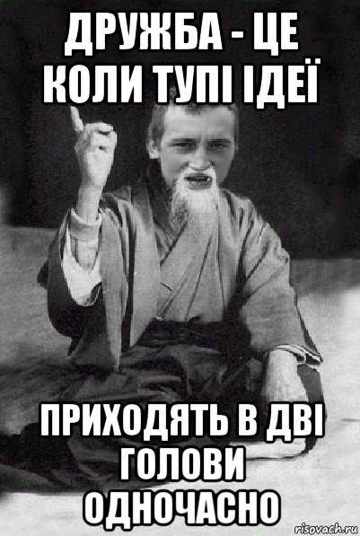 дружба - це коли тупі ідеї приходять в дві голови одночасно, Мем Мудрий паца