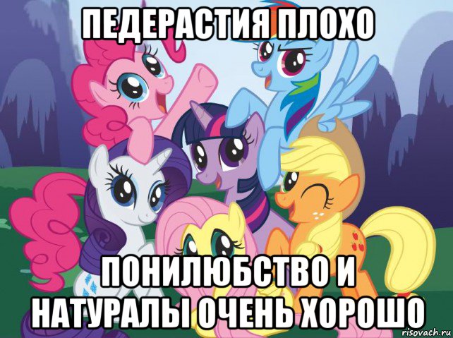 педерастия плохо понилюбство и натуралы очень хорошо, Мем My little pony