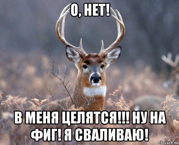 о, нет! в меня целятся!!! ну на фиг! я сваливаю!, Мем   Наивный олень