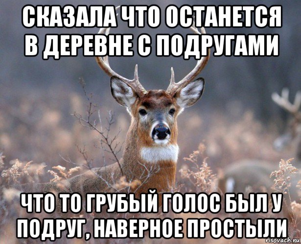 сказала что останется в деревне с подругами что то грубый голос был у подруг, наверное простыли, Мем   Наивный олень