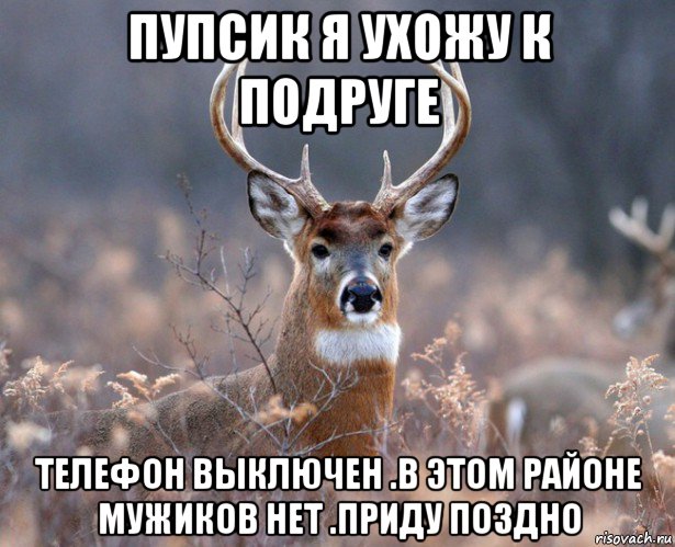 пупсик я ухожу к подруге телефон выключен .в этом районе мужиков нет .приду поздно, Мем   Наивный олень