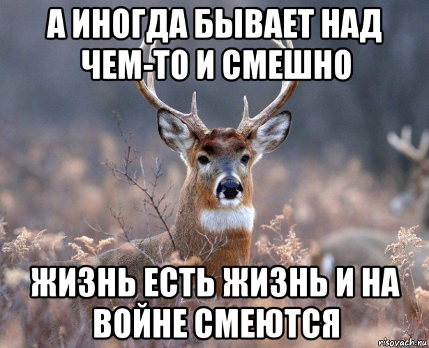 а иногда бывает над чем-то и смешно жизнь есть жизнь и на войне смеются, Мем   Наивный олень