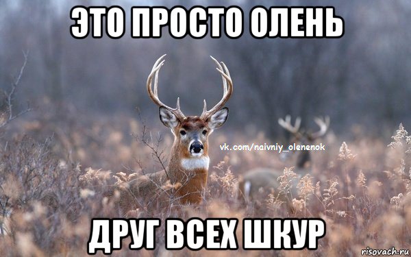 это просто олень друг всех шкур, Мем  Наивный Олененок