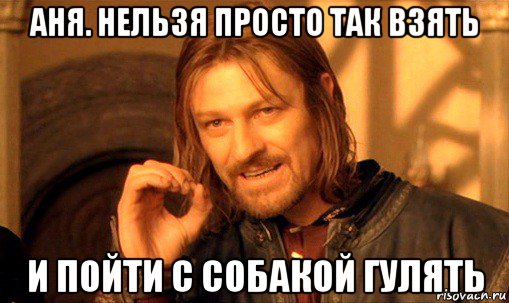 аня. нельзя просто так взять и пойти с собакой гулять, Мем Нельзя просто так взять и (Боромир мем)