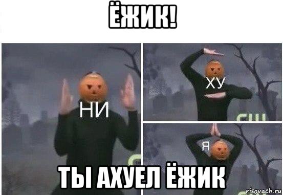 ёжик! ты ахуел ёжик, Мем  Ни ху Я