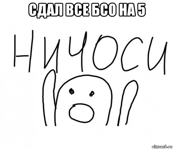 сдал все бсо на 5 , Мем  Ничоси