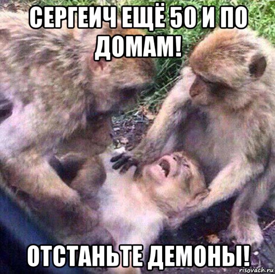 сергеич ещё 50 и по домам! отстаньте демоны!, Мем Обезьяны