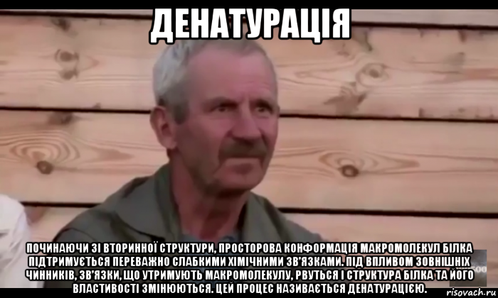 денатурація починаючи зі вторинної структури, просторова конформація макромолекул білка підтримується переважно слабкими хімічними зв’язками. під впливом зовнішніх чинників, зв’язки, що утримують макромолекулу, рвуться і структура білка та його властивості змінюються. цей процес називається денатурацією., Мем  Охуевающий дед