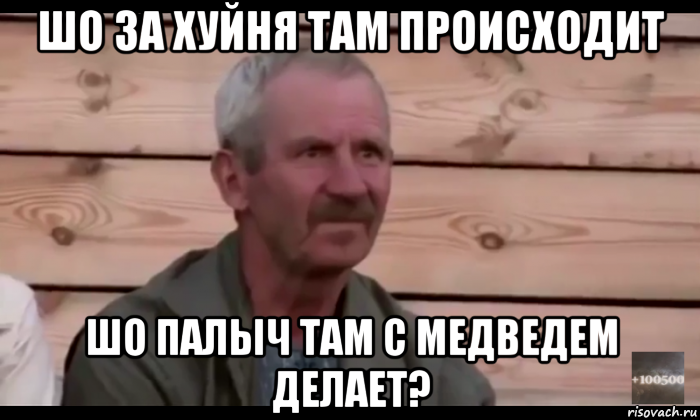 шо за хуйня там происходит шо палыч там с медведем делает?, Мем  Охуевающий дед