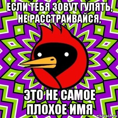 если тебя зовут гулять, не расстраивайся, это не самое плохое имя, Мем Омская птица