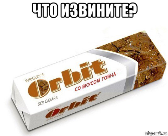 что извините? , Мем орбит