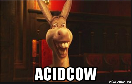  acidcow, Мем Осел из Шрека