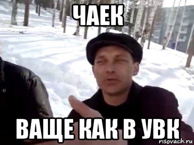 чаек ваще как в увк