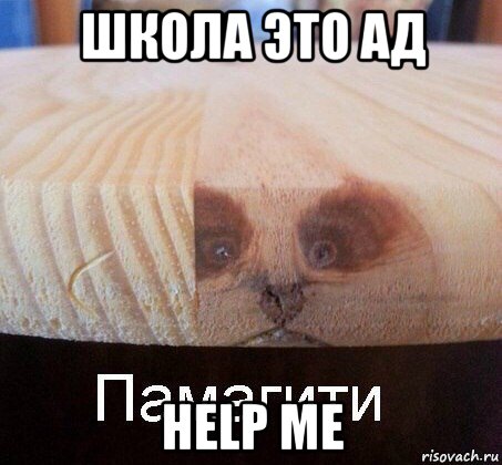 школа это ад help me, Мем   Памагити