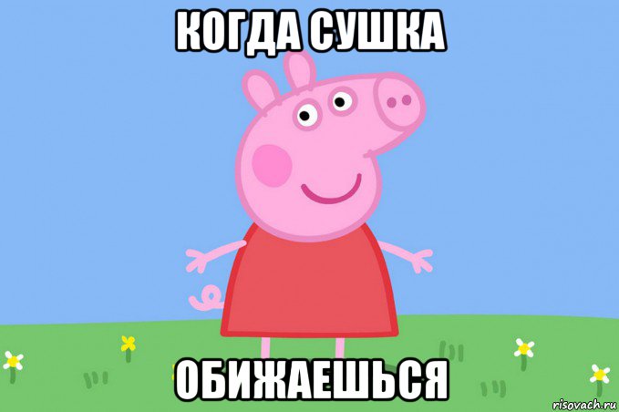 когда сушка обижаешься, Мем Пеппа