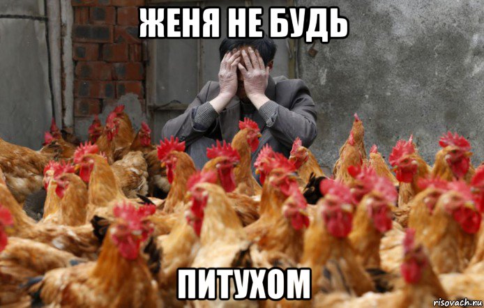 женя не будь питухом