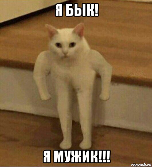 я бык! я мужик!!!, Мем  Полукот