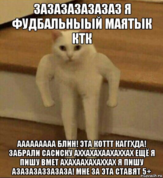 зазазазазазаз я фудбальныый маятык ктк ааааааааа блин! эта коттт каггхда! забрали сасиску аххахахаахаххах ещё я пишу вмет ахахаахахаххах я пишу азазазаззазаза! мне за эта ставят 5+, Мем  Полукот