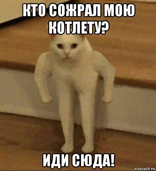 кто сожрал мою котлету? иди сюда!, Мем  Полукот